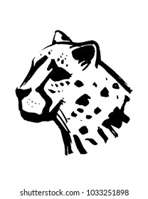 Hand drawn vector illustration or drawing of a cheetah head
