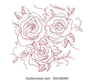 Hand drawn vector illustration or drawing of three roses, leafs and other plants
