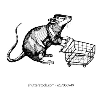 Hand Drawn Vector Illustration Or Drawing Of A Rat With A Shopping Cart