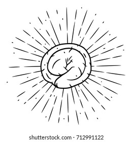 Hand drawn vector illustration with  dumpling and divergent rays. Used for poster, banner, web, t-shirt print, bag print, badges, flyer, logo design and more. 