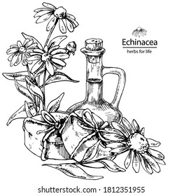Hand drawn vector illustration of echinacea essential oil and hand made soap. Flowers with glass bottle. Engraved medicinal herb for cosmetics, medicine, treating, aromatherapy, package design health