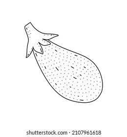 Hand drawn vector illustration of eggplant in doodle style. Cute illustration of a vegetable on a white background.