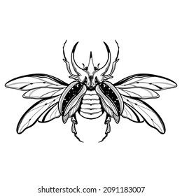 Hand drawn vector illustration - Egyptian collection. Scarab beetle, symbol of pharaoh. Perfect for invitation, web, postcard, poster, textile, print etc.