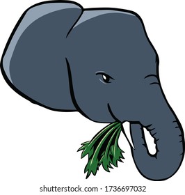 Hand drawn vector illustration of elephant, eating fresh green celery