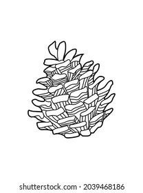 Hand drawn vector illustration of fir cones. Autumn and winter plant decorated with pattern Design element for print, label, logo, packaging template. Coloring. Vector outline illustration.