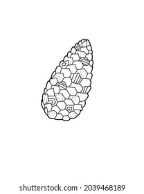 Hand drawn vector illustration of fir cones. Autumn and winter plant decorated with pattern Design element for print, label, logo, packaging template. Coloring. Vector outline illustration.