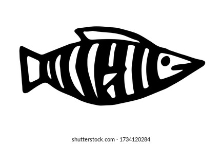 Hand drawn vector illustration of fish. Doodle outline illustration of sea creature isolated on white background. Cute drawing for children. Template for coloring, Black design element