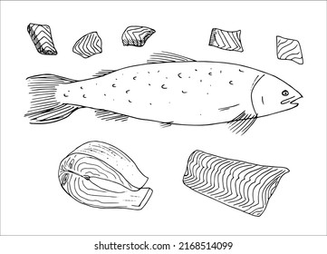 Hand drawn vector illustration of fish with slices. Black and white outline sketches. Set of fresh seafood isolated on a white background. Collection elements.