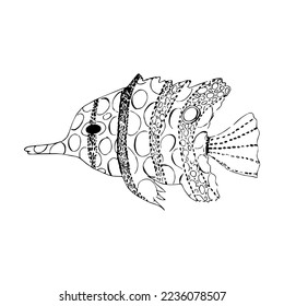 Hand drawn vector illustration of fish isolated on white background.