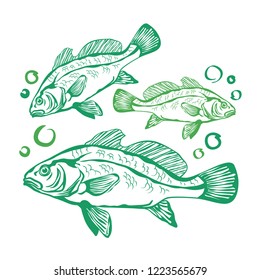 Hand drawn vector  illustration of a flock of fish