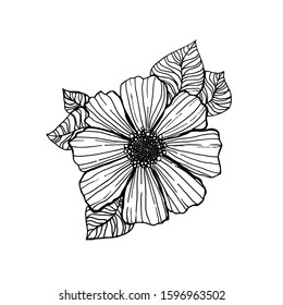 Hand drawn vector illustration of flower. For print.