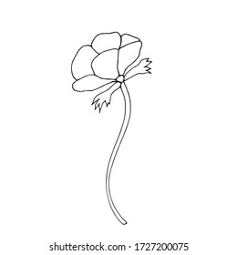 Hand drawn vector illustration of a flower. Doodle style. Minimalism art, linear ink pen drawing. Single object, isolated black on white background.