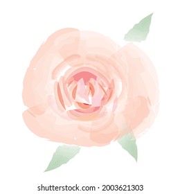 Hand drawn vector illustration flower. Logo design element for summer collection. Elements for the design of postcards and invitations.