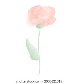 Hand drawn vector illustration flower. Logo design element for summer collection. Elements for the design of postcards and invitations.