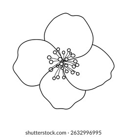 hand drawn vector illustration of flower on white background