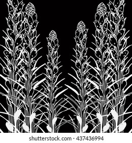 Hand drawn vector illustration of flower buds. Ink sketch. Background for your text. 