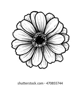 Hand drawn vector illustration - Flower. Floral Tattoo sketch. Perfect for tattooing, invitations, greeting cards, quotes, blogs, posters etc. Vintage collection