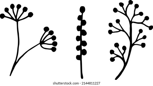 Ilustración vectorial dibujada a mano de flores. Colección de doodle de elementos florales.