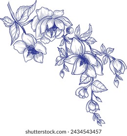 Hand drawn vector illustration with flowers in doodle style. Natural design for greeting card. Vintage sketch background, Flower black line contour for colouring book or page. Flower colouring.
