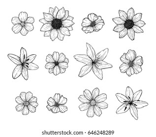Hand drawn vector illustration - Flowers set. Floral collection in sketch style. Perfect for wedding invitations, greeting cards, quotes, blogs, posters etc