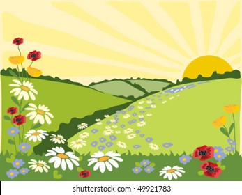 hand drawn vector illustration of a flowery summer landscape with sunburst