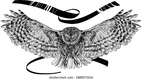 Hand Drawn Vector Illustration Of An Flying Owl