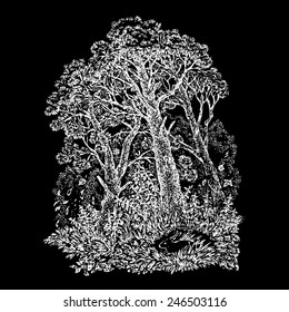 Hand drawn vector illustration with a forest landscape and hare, vintage card