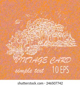Hand drawn vector illustration with forest landscape, rain, pines and fallen leaves, vintage card