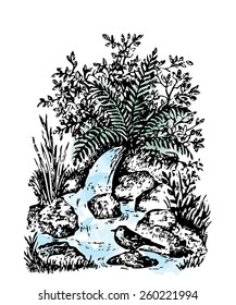 Hand drawn vector illustration with a forest landscape, bird, stream, and  fern,