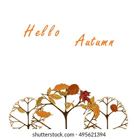 Hand drawn vector illustration. Forest design elements. Hello Autumn!