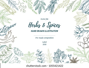 Hand drawn vector illustration. Frame with herbs and spices (sage, tarragon, ginger). Herbal pre-made composition. Perfect for menu, cards, prints, packing, leaflets