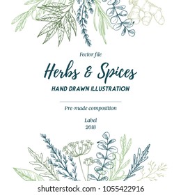 Hand drawn vector illustration. Frame with herbs and spices (sage, tarragon, ginger). Herbal pre-made composition. Perfect for menu, cards, prints, packing, leaflets