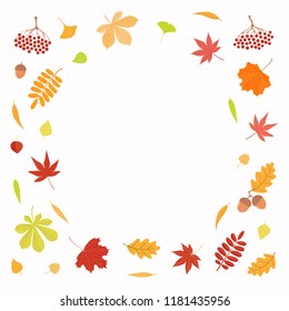 Hand drawn vector illustration with frame of autumn leaves, copy space. Isolated objects on white background. Flat style design. Concept for seasonal banner, poster, card.