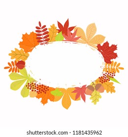 Hand drawn vector illustration with frame of autumn leaves, copy space. Isolated objects on white background. Flat style design. Concept for seasonal banner, poster, card.