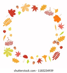 Hand drawn vector illustration with frame of autumn leaves, copy space. Isolated objects on white background. Flat style design. Concept for seasonal banner, poster, card.