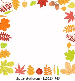 Hand drawn vector illustration with frame of autumn leaves, rowan berries, acorns. Isolated objects on white background. Flat style design. Concept for seasonal banner, poster, card.