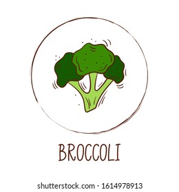 Hand drawn vector illustration of fresh broccoli with round frame and inscription - Vegetable icon isolated