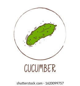 Hand drawn vector illustration of fresh cucumber with round frame and inscription - Vegetable icon isolated