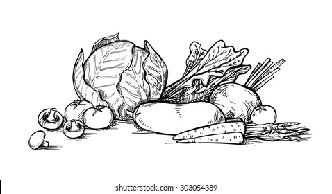 Hand drawn vector illustration -Fresh vegetables. Supermarket. Grocery store. Organic and vegan food. 