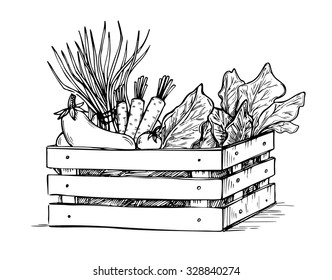 Hand drawn vector illustration - Fresh vegetables. Supermarket. Grocery store. Organic and vegan food.