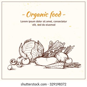 Hand drawn vector illustration -Fresh vegetables. Supermarket. Grocery store. Organic and vegan food.