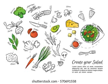 Hand drawn vector illustration of fresh side dish with vegetables, cheese, seafood etc. Create your salad. Perfect for restaurant brochure, cafe flyer, delivery menu. 