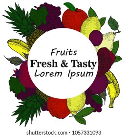 Hand drawn vector illustration with fruits and berries. Vintage.