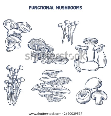 Hand drawn vector illustration of functional mushrooms in line art style