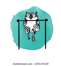 hand drawn vector illustration of funny cats