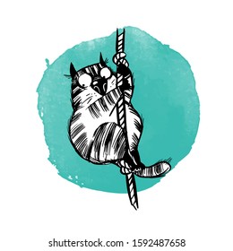 hand drawn vector illustration of funny cats