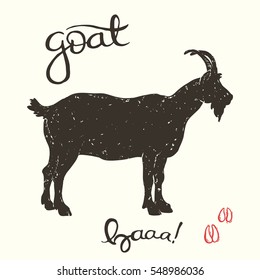 Hand drawn vector illustration of the goat with handwriting title and decorative drawn tracks