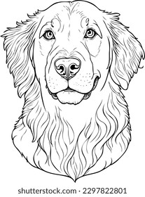Hand drawn vector illustration Golden Retriever  Sketch style dog  Animal portrait 