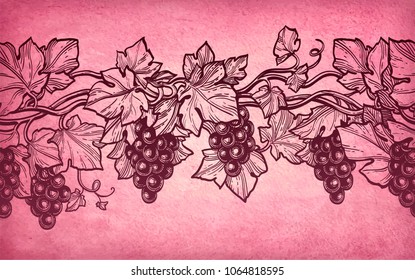 Hand drawn vector illustration of grapes. Ink sketch isolated on old paper background. Retro style.
