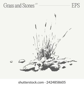 Hand drawn vector illustration of grass and rocks on blank backdrop. Isolated sketch.